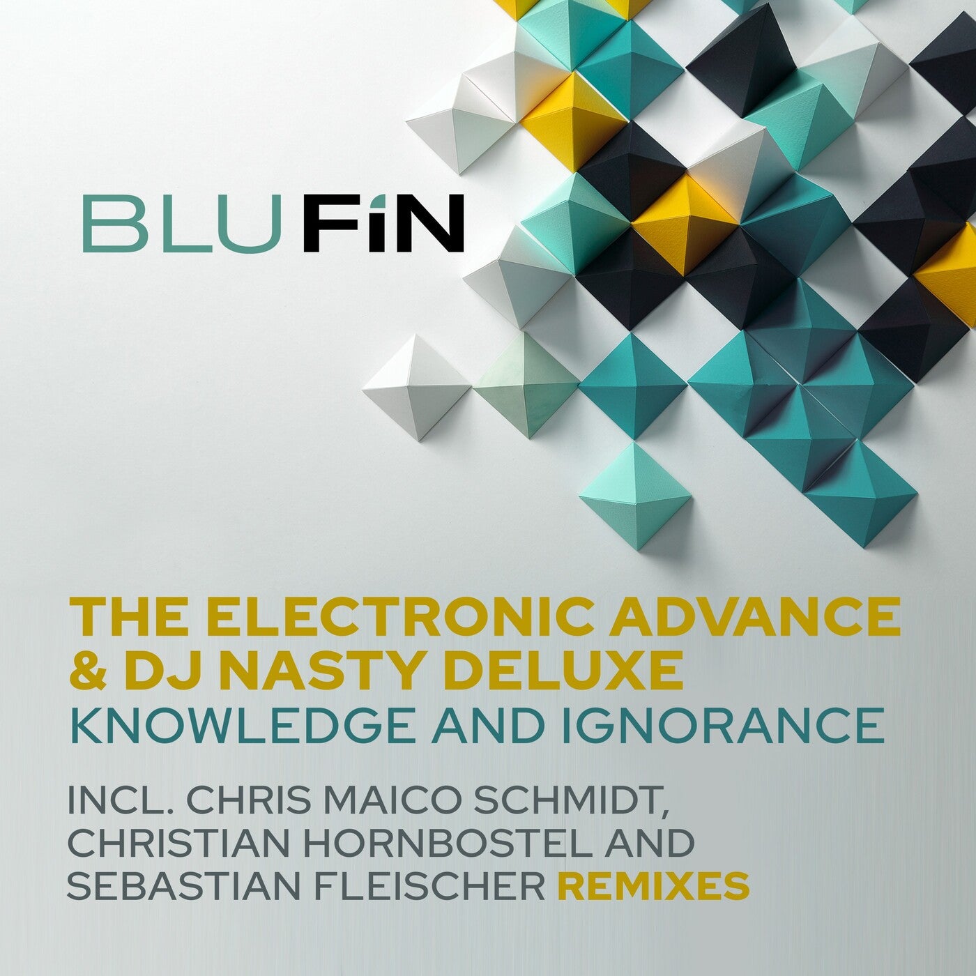 The Electronic Advance, DJ Nasty Deluxe – Knowledge and Ignorance [BF334]